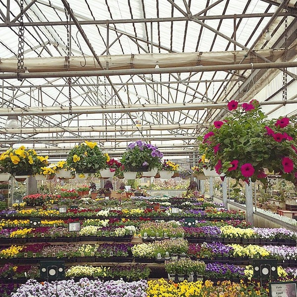 Merrifield Garden Center : Merrifield Garden Center - 39 Photos & 36
