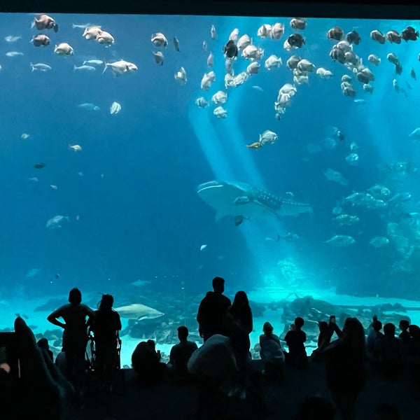 Foto diambil di Georgia Aquarium oleh たくみん pada 3/29/2024