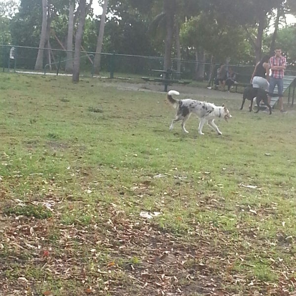 Dog Park In Coconut Grove