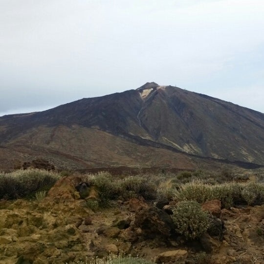 My Image 16