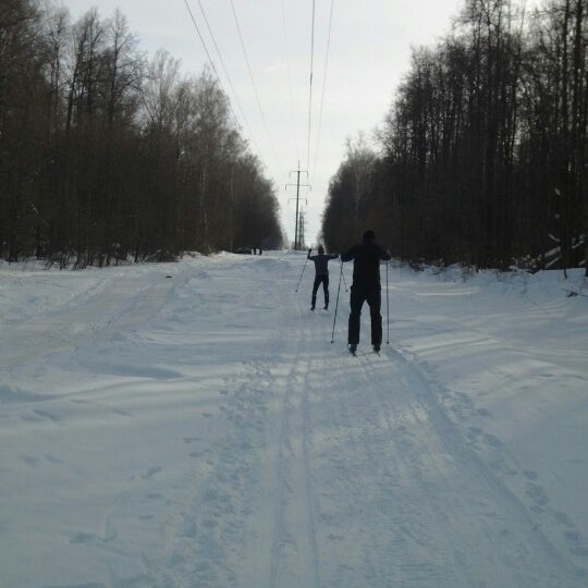 Лыжная база в Шексне