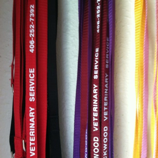 Veterinarian Billings Mt Heights at Esther Golden blog