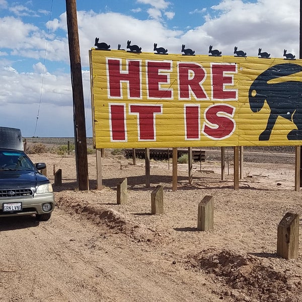 jackrabbit shoe store