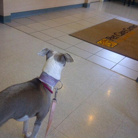 Pet care center hotsell at luna park