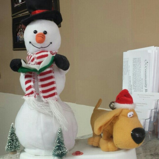 beach city animal hospital