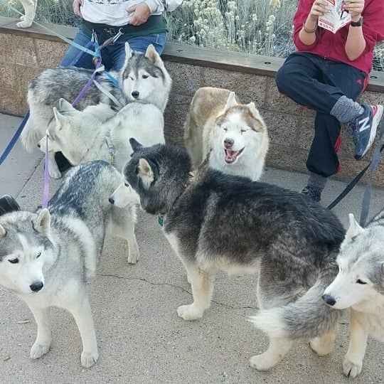 Foto tirada no(a) Big Bear Discovery Center por Wendy H. em 11/25/2016