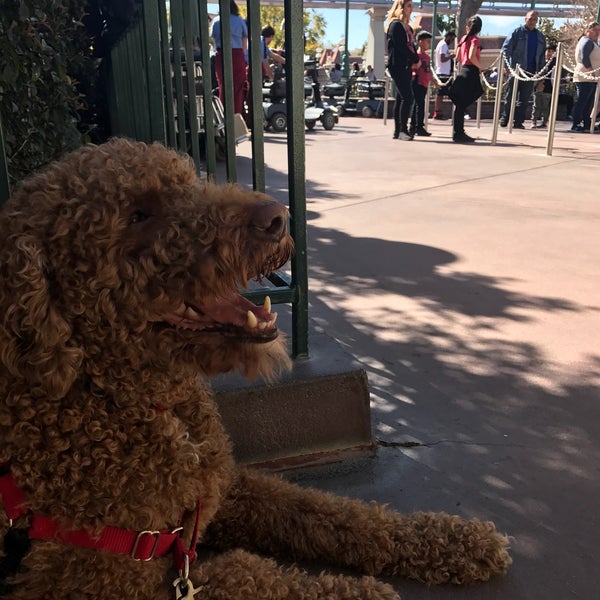 Photos at Disneyland Kennel Club The Anaheim Resort Anaheim, CA