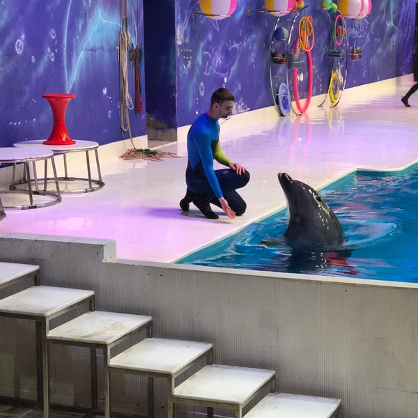 Photo taken at Dubai Dolphinarium by RR Jaber on 1/2/2019