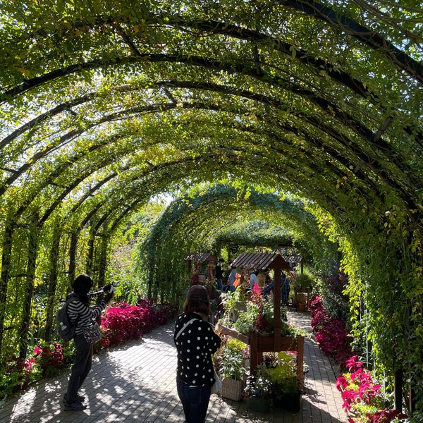 Photos At 横浜イングリッシュガーデン Garden In Yokohama