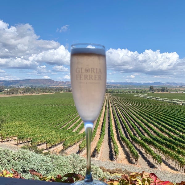 9/16/2019 tarihinde Kiyana K.ziyaretçi tarafından Gloria Ferrer Caves &amp; Vineyards'de çekilen fotoğraf