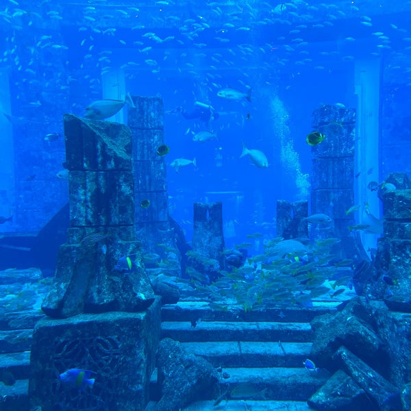 Foto tirada no(a) The Lost Chambers Aquarium por uosl!M 6. em 10/8/2023