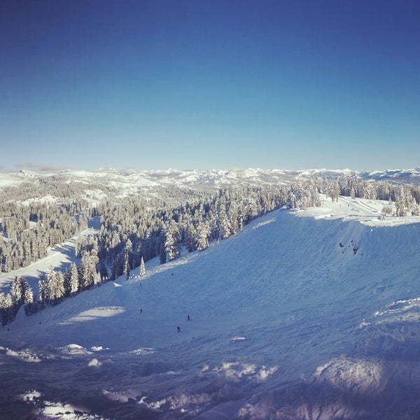 รูปภาพถ่ายที่ Bear Valley Mountain โดย MJ L. เมื่อ 1/11/2016