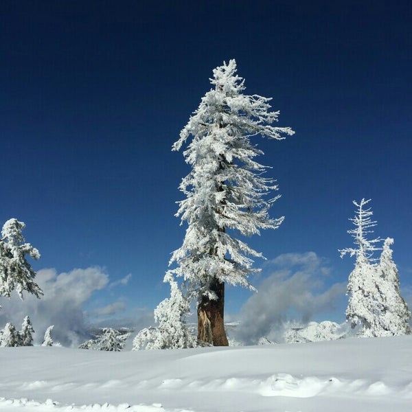 รูปภาพถ่ายที่ Bear Valley Mountain โดย MJ L. เมื่อ 12/23/2015