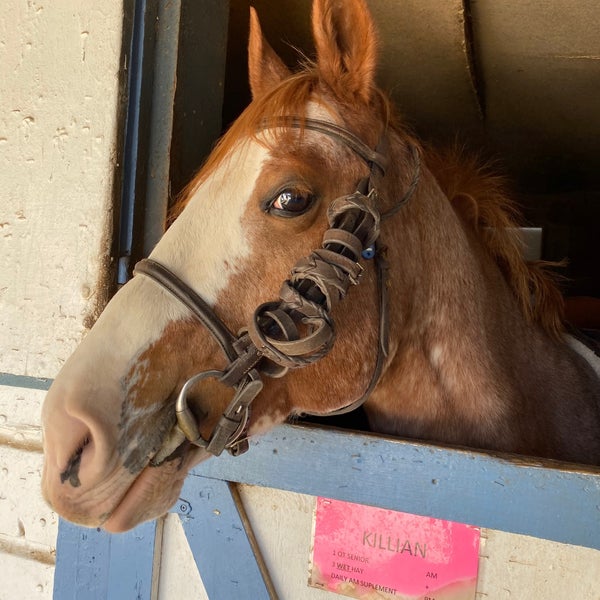 Das Foto wurde bei Thomas School of Horsemanship Summer Day Camp &amp; Riding School von Masayo K. am 11/16/2019 aufgenommen