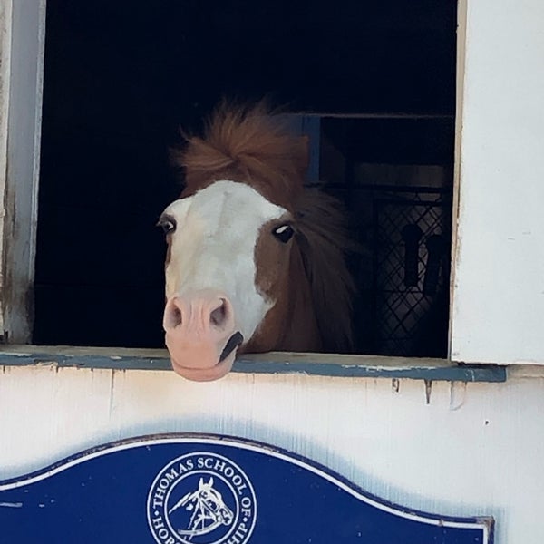 Снимок сделан в Thomas School of Horsemanship Summer Day Camp &amp; Riding School пользователем Masayo K. 6/22/2019