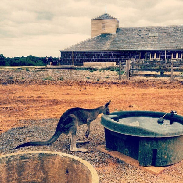 Werribee Open Range Zoo 40 tips