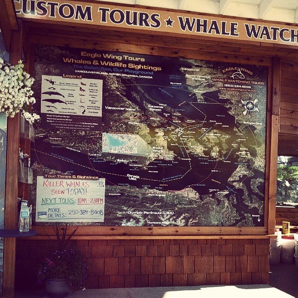 Foto scattata a Eagle Wing Whale &amp; Wildlife Watching Tours da Ruxandra F. il 6/3/2013