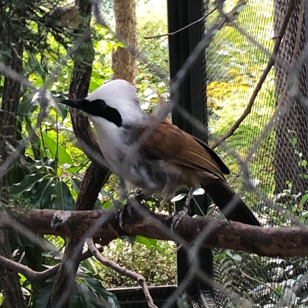 Photo taken at Prospect Park Zoo by Nate F. on 8/3/2020