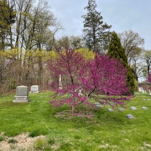 Foto scattata a Cimitero di Green-Wood da Nate F. il 4/19/2024