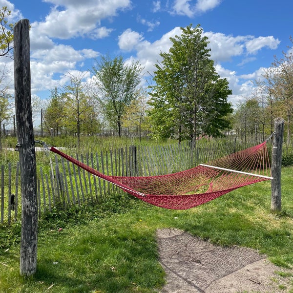 Governors Island Hammock Grove Governors Island 5 tips from 800