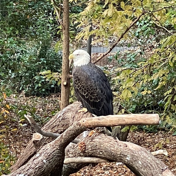 Photo taken at Queens Zoo by Nate F. on 11/21/2021