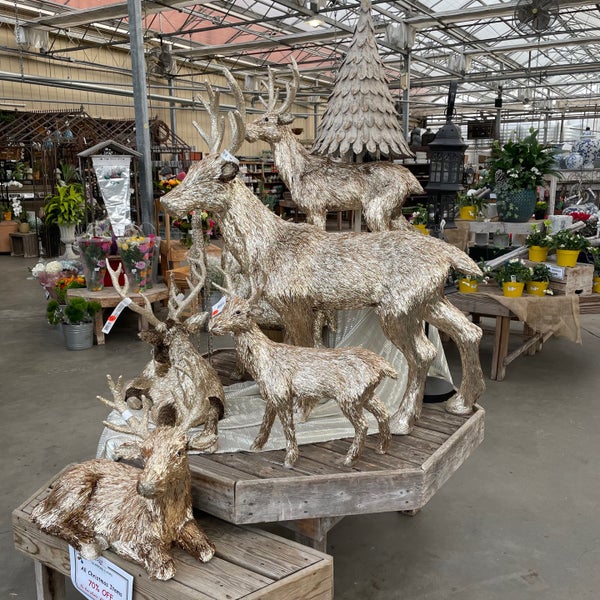 christmas decorations are 70% off in january