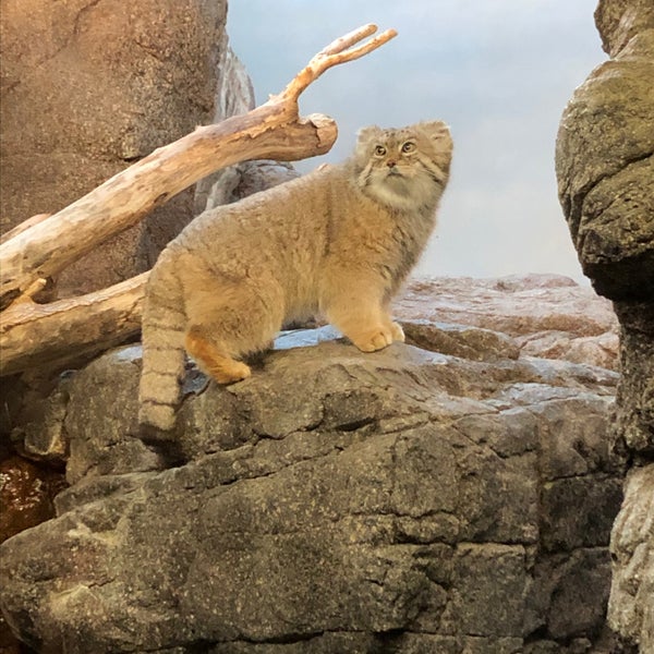 Photo taken at Prospect Park Zoo by Nate F. on 12/31/2019