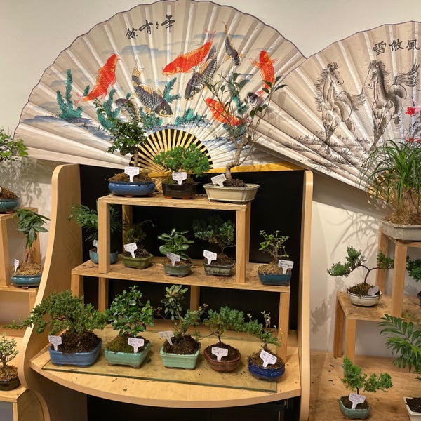 Bonsai Art Gallery Heartland Village New York, NY