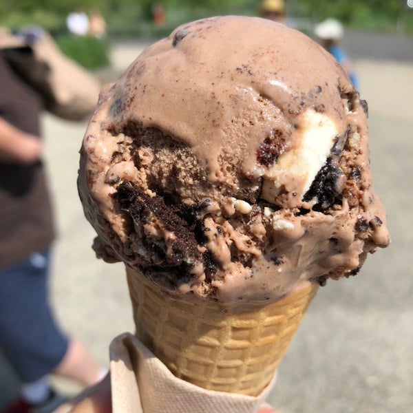 chocolate trip - chocolate ice cream with chunks of cookie, cake, and brownie