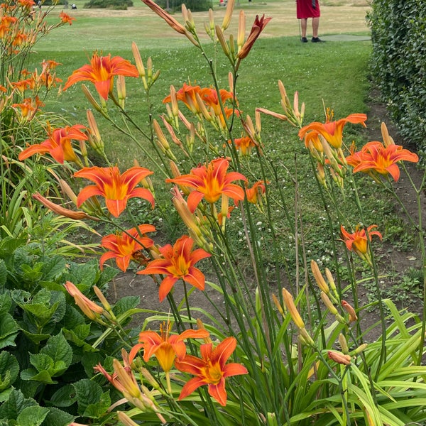 Riis Park Pitch N Putt Golf Course in Breezy Point