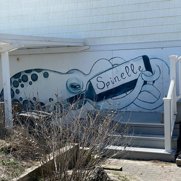 Kismet, Fire Island Beach in Bay Shore