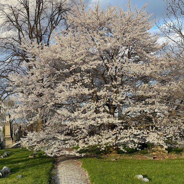 4/5/2024 tarihinde Nate F.ziyaretçi tarafından Green-Wood Cemetery'de çekilen fotoğraf