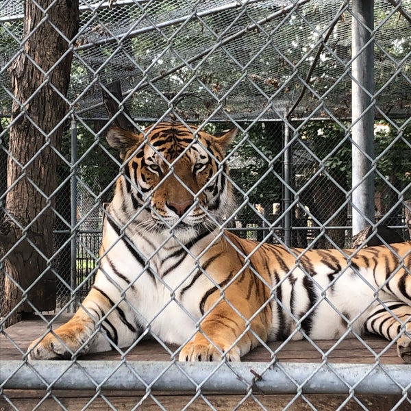 Photo taken at Roosevelt Park Zoo by Nate F. on 8/9/2019