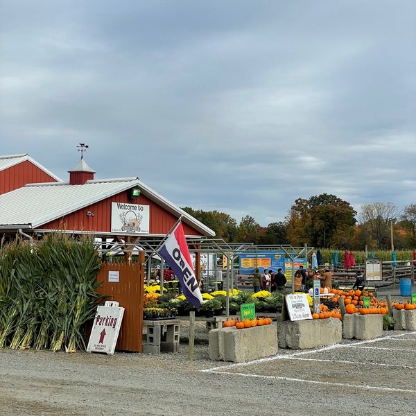 Stony Hill Farm Market Farmers Market