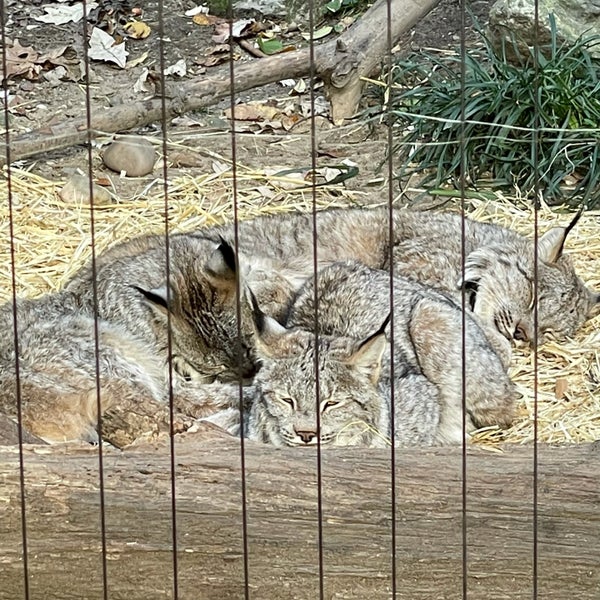 Foto tirada no(a) Queens Zoo por Nate F. em 11/21/2021