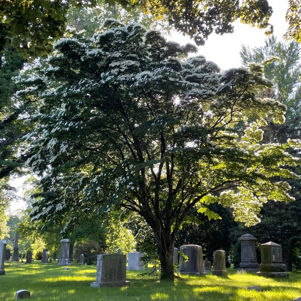 Photo taken at Green-Wood Cemetery by Nate F. on 5/31/2024