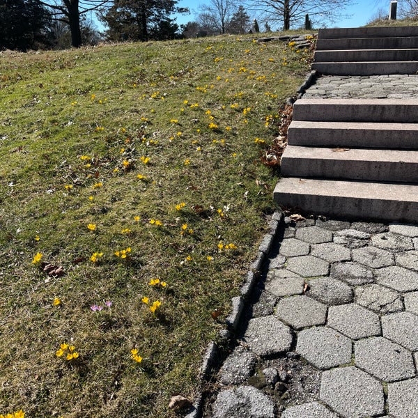 Photo taken at Green-Wood Cemetery by Nate F. on 3/3/2024