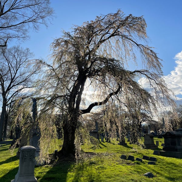 Foto tirada no(a) Green-Wood Cemetery por Nate F. em 4/12/2024