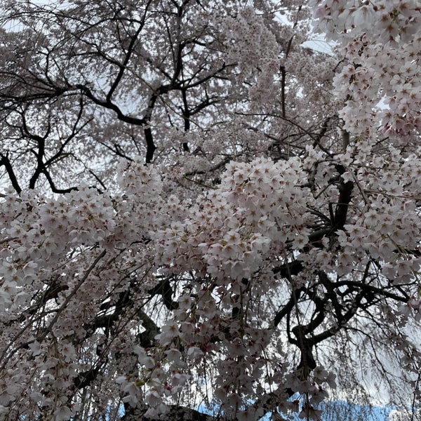 รูปภาพถ่ายที่ Green-Wood Cemetery โดย Nate F. เมื่อ 4/7/2024