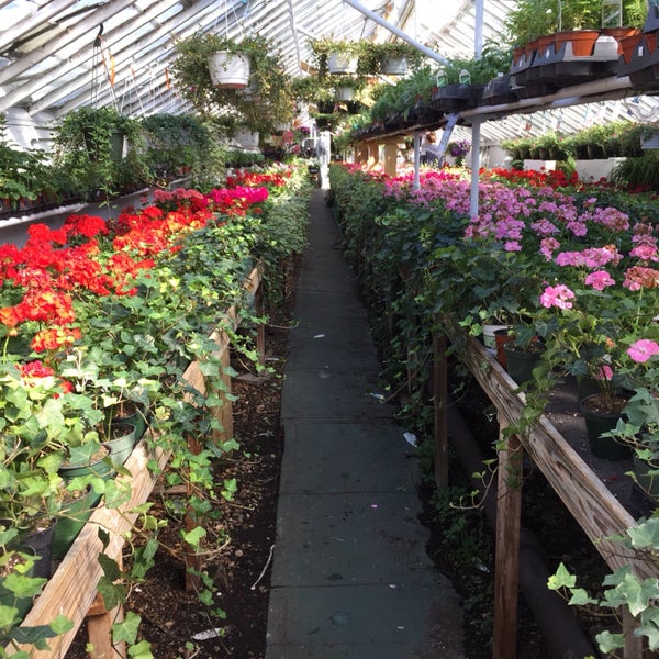 yard and multiple greenhouses with indoor and outdoor plants, trees, flowers, orchids, and gardening supplies, as well as a floral shop with bouquets, balloons, and gifts