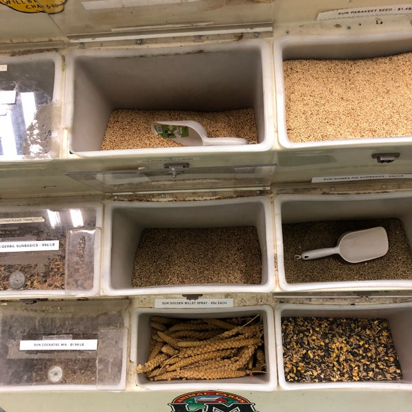 petland discounts brooklyn