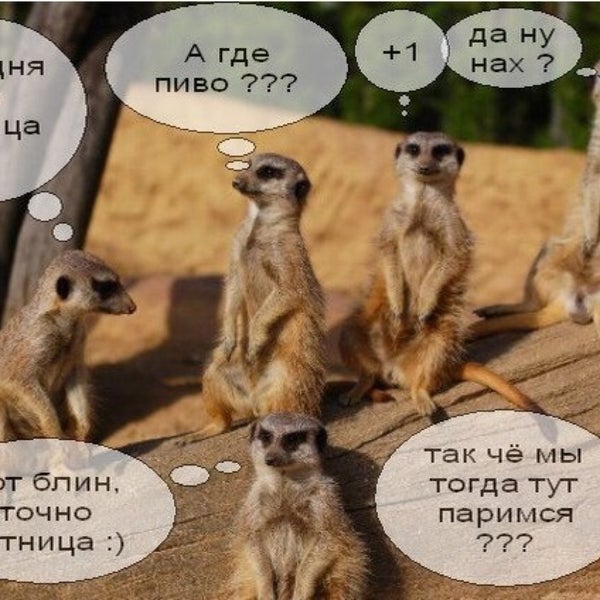 Пятничные Приколы
