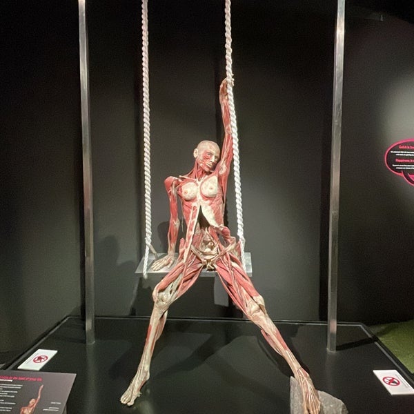 Photo taken at Body Worlds by Jan C. on 10/16/2021