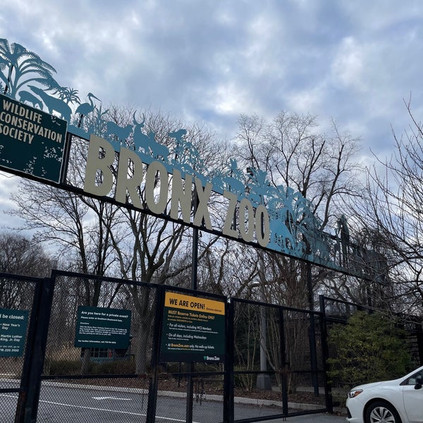 2/11/2024 tarihinde David D.ziyaretçi tarafından Bronx Hayvanat Bahçesi'de çekilen fotoğraf