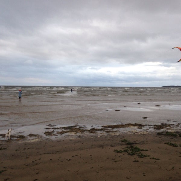 Wind Hunters Surf Station Сосновый