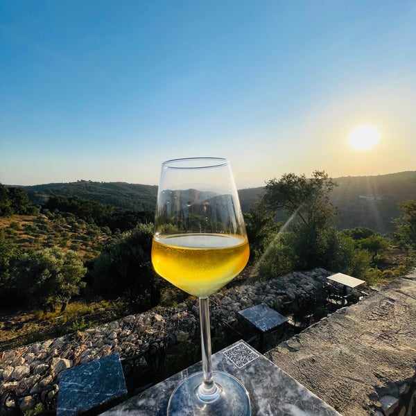 photos at ayda baglari ayda winery vineyard in izmir