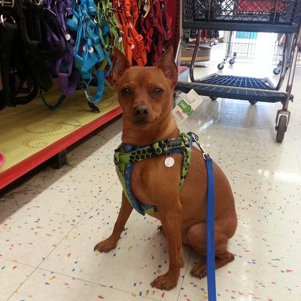 Petco State College, PA