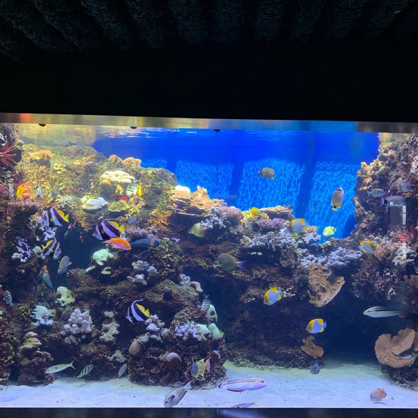 Foto diambil di Waikiki Aquarium oleh ごっ さ. pada 2/28/2020
