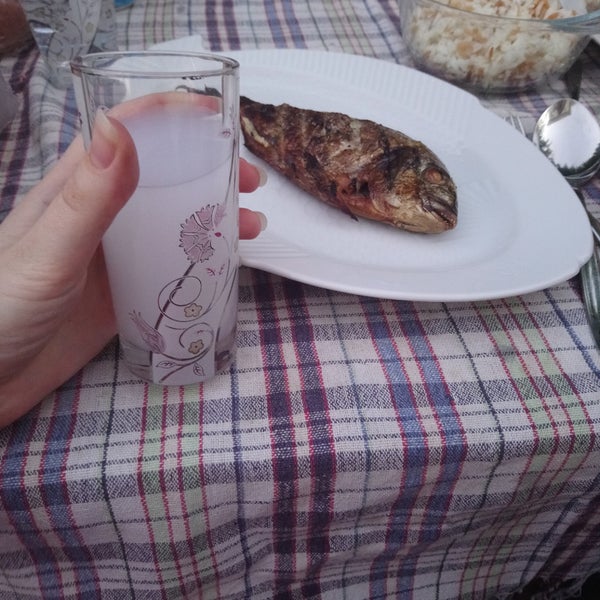 Ova Kahve Kuşçular Urla, İzmir