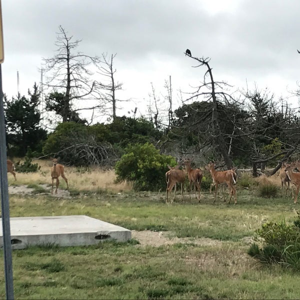 East islip Marina East Islip, NY